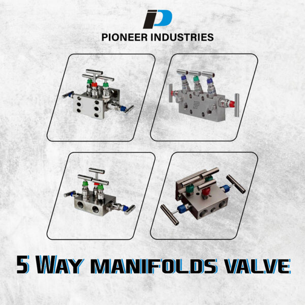 5-Way Instrumentation Manifold Valves