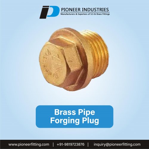 Brass Pipe Forging Plug