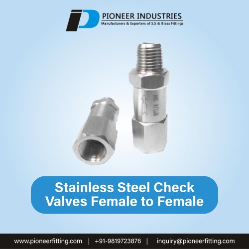 Stainless Steel Check Valves Female to Female