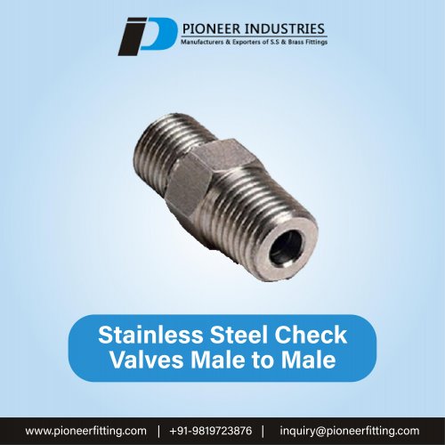 Stainless Steel Check Valves Male to Male