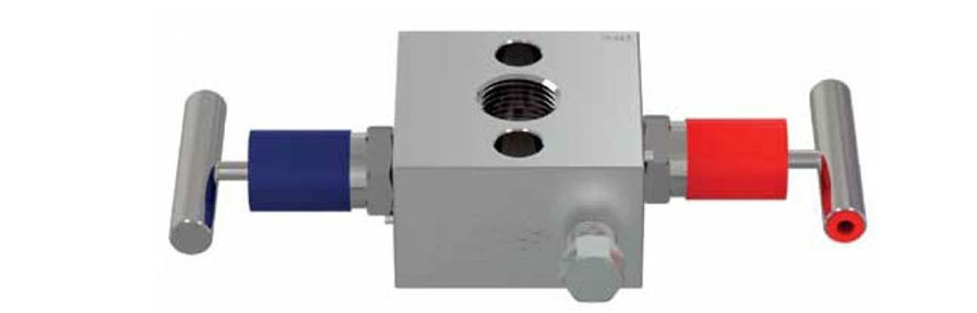 Direct Mount 2-Way Manifold Valves: Enhancing Efficiency & Reliability