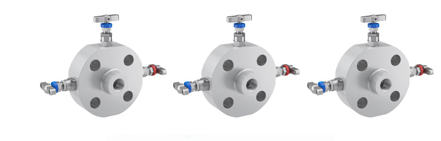 How Monoflange Valves Enhance Safety and Efficiency in Offshore Systems