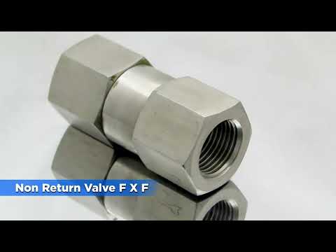Non-Return Valve (Female x Female) | Backflow Prevention & Leak-Proof | Pioneer Industries